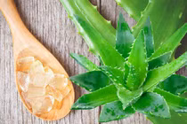 4 cách trị tàn nhang bằng nha đam đơn giản tại nhà