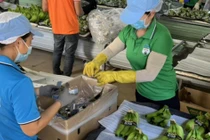 Khát vọng tỷ USD từ trồng chuối, nuôi heo của đại gia Việt