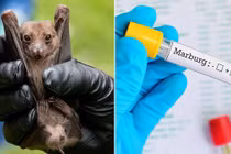 TP.HCM ra 2 văn bản khẩn vì lo ngại dịch bệnh kép