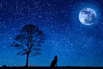 6 sự thật thú vị về các ngôi sao 