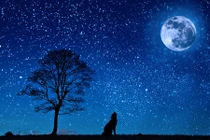 6 sự thật thú vị về các ngôi sao 