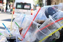 Việt Nam đến năm 2030 giảm lượng sử dụng rác thải khó phân hủy?