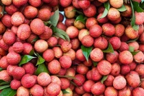 Vải thiều Úc gần 1,3 triệu đồng 1 kg "cháy hàng"