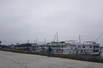 Hải Dương: Nhà hàng du thuyền "mọc" trên cảng Cống Câu?