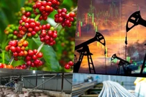 Giá cả thị trường hàng hóa ngày 22/4: Gạo, xăng thép, tiêu... có biến động