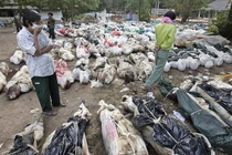 Nhìn lại những trận động đất kinh hoàng nhất trong lịch sử