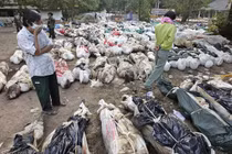 Nhìn lại những trận động đất kinh hoàng nhất trong lịch sử