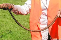 Những khám phá thú vị về loài giun đất không phải ai cũng biết