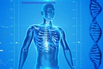 Những điều thú vị về cơ thể con người, không phải ai cũng biết