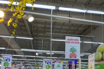 Việt Nam chi gần 2 tỷ USD nhập khẩu rau quả 