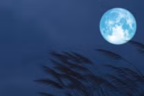 3 hiện tượng khác lạ của mặt trăng, có thể bạn chưa biết