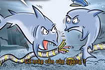 Cáp quang biển sợ gì nhất?