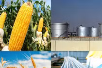 Thị trường 3/1/2023: Giá các mặt hàng quan trọng đều tăng mạnh