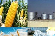 Thị trường 3/1/2023: Giá các mặt hàng quan trọng đều tăng mạnh