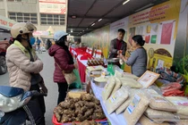 Nhiều chính sách kinh tế nổi bật có hiệu lực từ tháng 3/2023