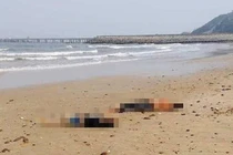 Phát hiện thi thể 2 nữ sinh trôi dạt vào bờ biển ở Nghệ An