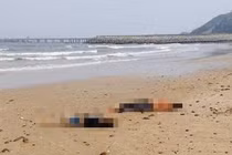 Phát hiện thi thể 2 nữ sinh trôi dạt vào bờ biển ở Nghệ An