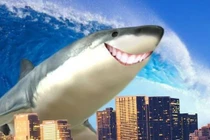 Cá mập có khả năng tiến hóa để thích nghi với cuộc sống trên cạn?