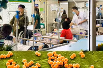 Ngộ độc do vi khuẩn tụ cầu vàng có nguy hiểm không?