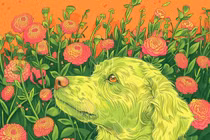 Bảng xếp hạng 4 con giáp tài vận tốt nhất năm Ất Tỵ