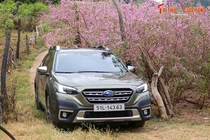 Đánh giá Subaru Outback tại Việt Nam - an toàn và bền bỉ cho người sử dụng