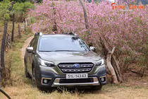 Đánh giá Subaru Outback tại Việt Nam - an toàn và bền bỉ cho người sử dụng