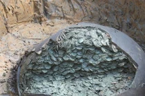 Đào đất giữa đồng, bất ngờ phát hiện “kho báu” khủng