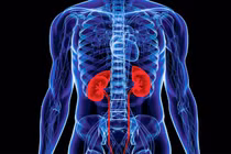 Giật mình 9 nhóm người dễ mắc suy thận