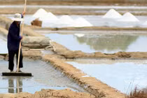 Top 10 địa điểm nhất định phải ghé thăm ở Bạc Liêu