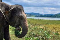 Chiêm ngưỡng ba hồ nước nổi tiếng nhất Tây Nguyên 