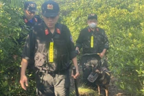 Cảnh sát lội bùn, rà soát đầm lầy 8ha truy tìm 2 phạm nhân trốn trại