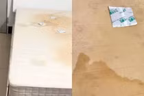 Thuê nhà bị dị ứng liên tục, lật đệm lên phát hiện điều kinh hoàng