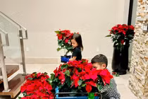 Biệt thự 1.500m2 rực sắc hoa của vợ cũ Đan Trường