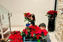 Biệt thự 1.500m2 rực sắc hoa của vợ cũ Đan Trường