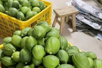 3 loại trái cây gây sốt thị trường Việt năm 2023