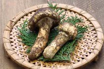 Cận cảnh loại nấm gần 50 triệu/kg, nhà giàu đổ xô săn lùng