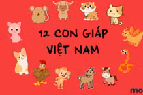 Tuần mới (16/10 - 22/10): 3 con giáp này thu hút phú quý