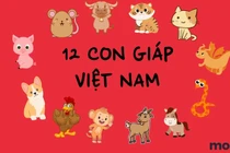 Tuần mới (16/10 - 22/10): 3 con giáp này thu hút phú quý