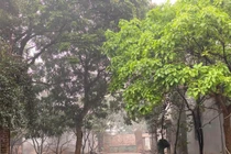 Cận cảnh nhà vườn rộng 1.000m2 của NSƯT Chiều Xuân