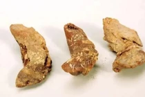 Mở mộ cổ, chuyên gia ngỡ ngàng thấy thứ lạ lùng 