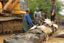 Đào trúng khúc gỗ 25m, cảnh sát lập tức phong tỏa hiện trường vì điều này