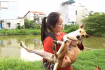 Trang trại chó Phú Quốc bạc tỷ của nữ dược sĩ Hà Nội