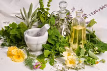 Thảo dược trị ho trời lạnh