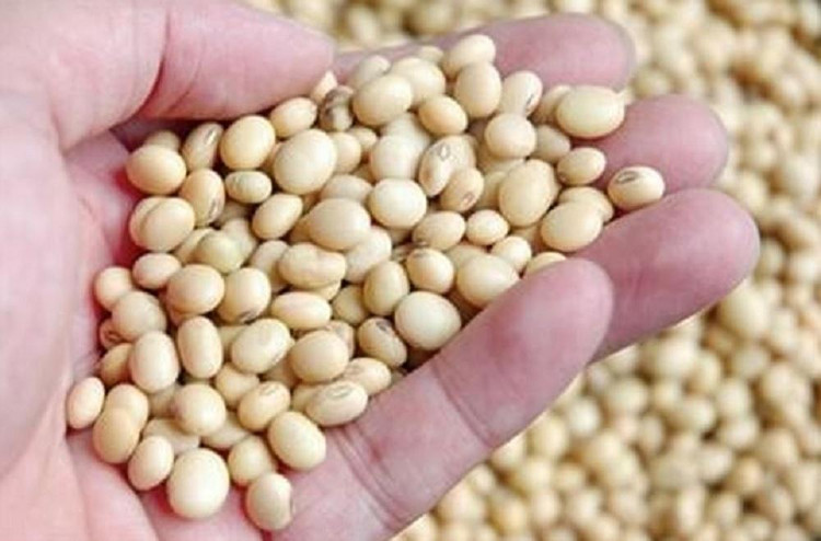 Đậu phụ là mặt hàng tiêu thụ chính của hầu hết các hộ gia đình với thu nhập từ trung bình đến thấp tại Indonesia.