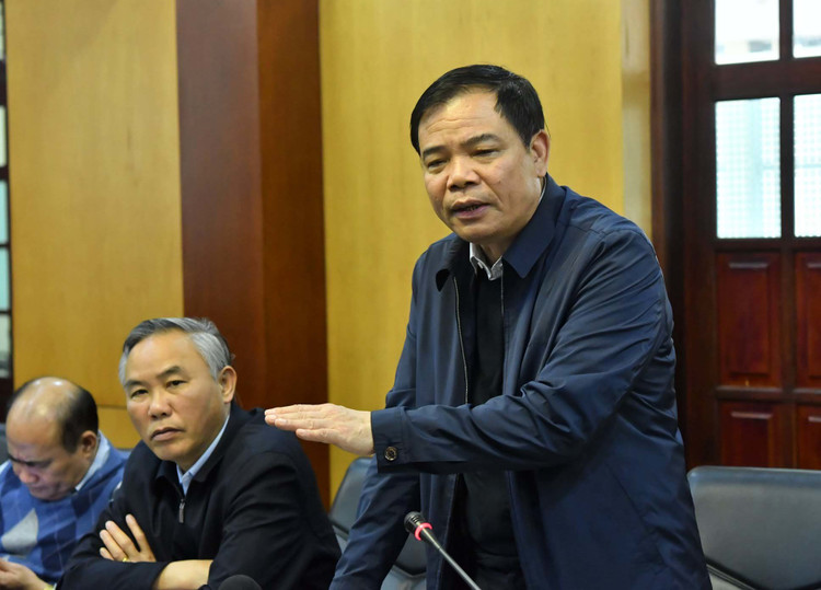 Giá thịt lợn đồng loạt giảm mạnh