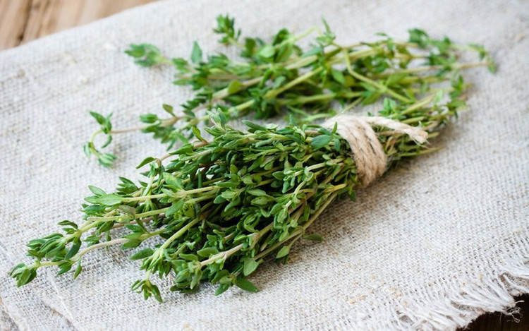 Kinh ngạc loại thảo mộc là “khắc tinh” của ung thư - Hình 5