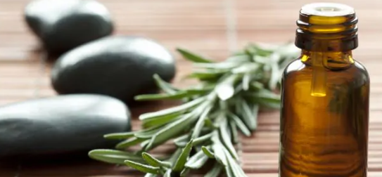 Kinh ngạc loại thảo mộc là “khắc tinh” của ung thư - Hình 11