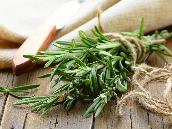 Kinh ngạc loại thảo mộc là “khắc tinh” của ung thư - Hình 3