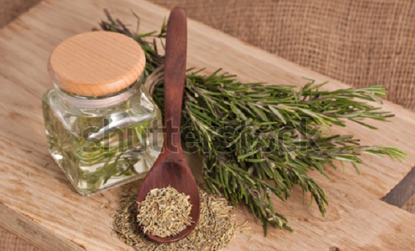 Kinh ngạc loại thảo mộc là “khắc tinh” của ung thư - Hình 8