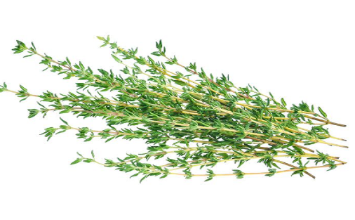 Kinh ngạc loại thảo mộc là “khắc tinh” của ung thư - Hình 4